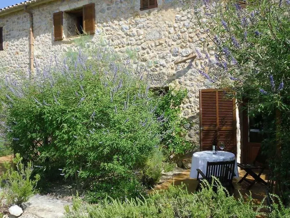 Venkovský dům Finca Son Olive Selva