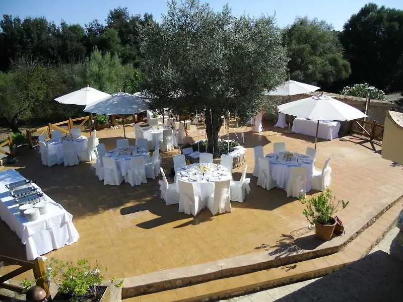 Country house Finca Son Olive Selva