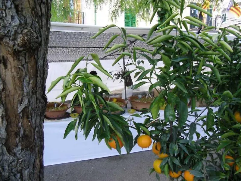 Finca Son Olive Selva  Spain
