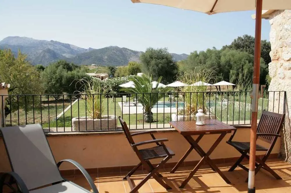Country house Finca Son Olive Selva